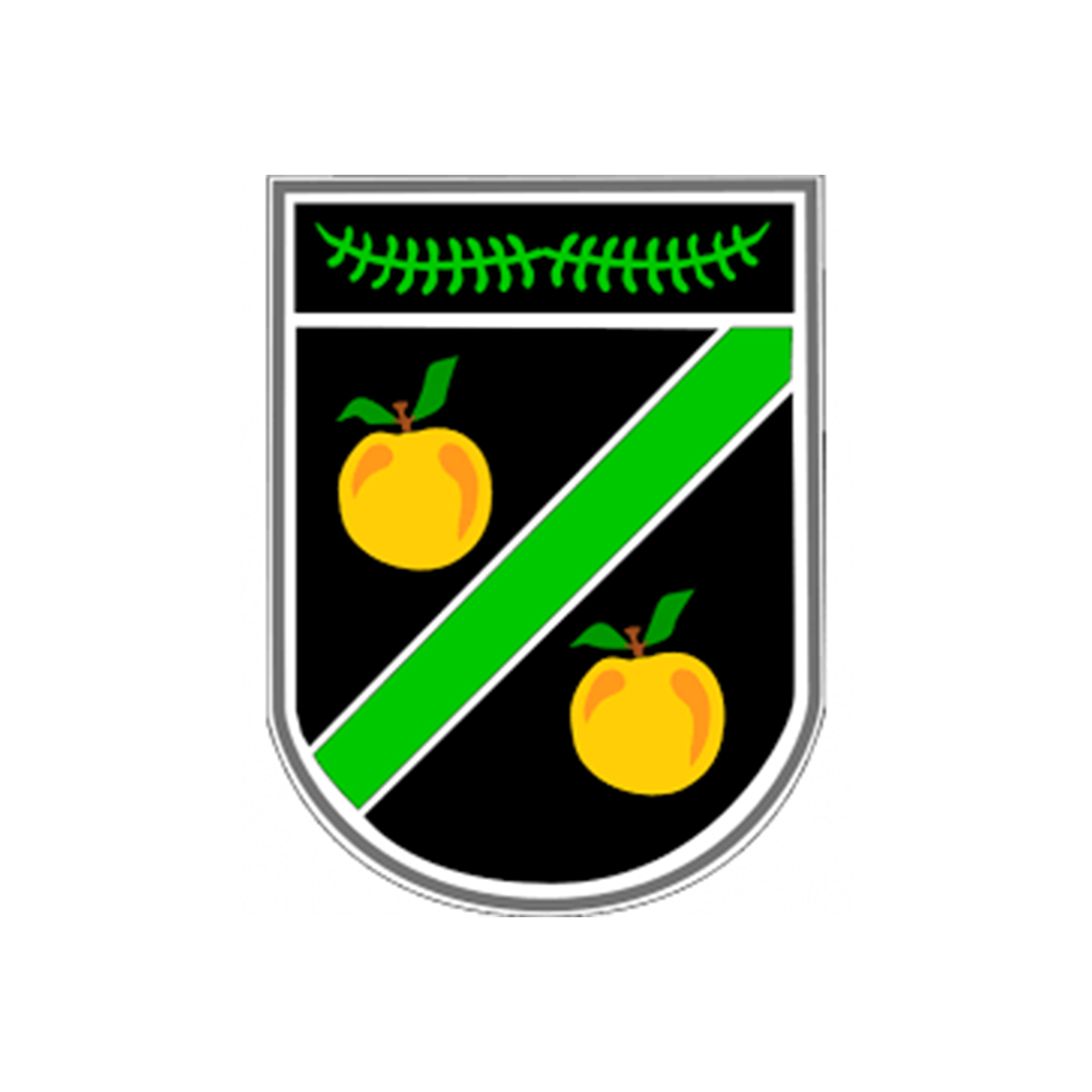 The Appleton School SchoolSports4U