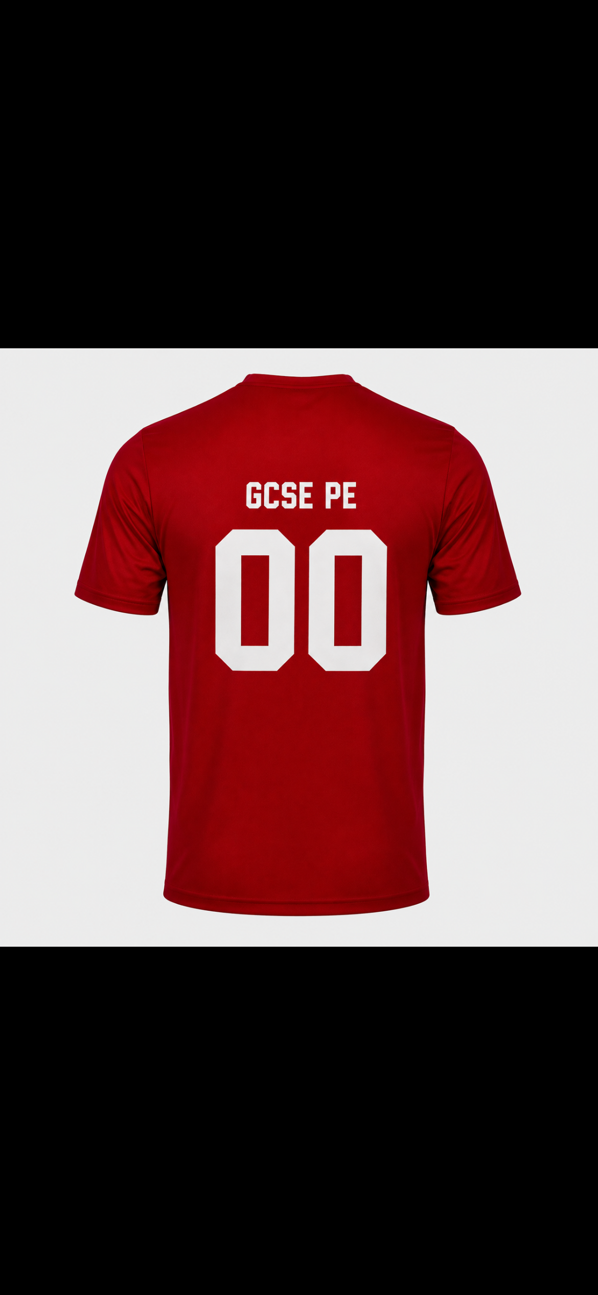 Ilford County GCSE PE T-Shirt