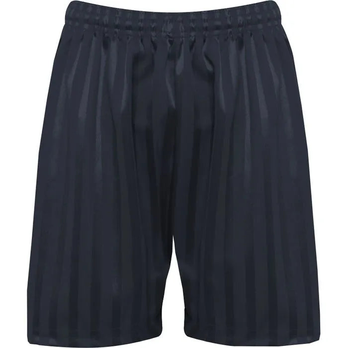 Navy Stripe Plain Shorts