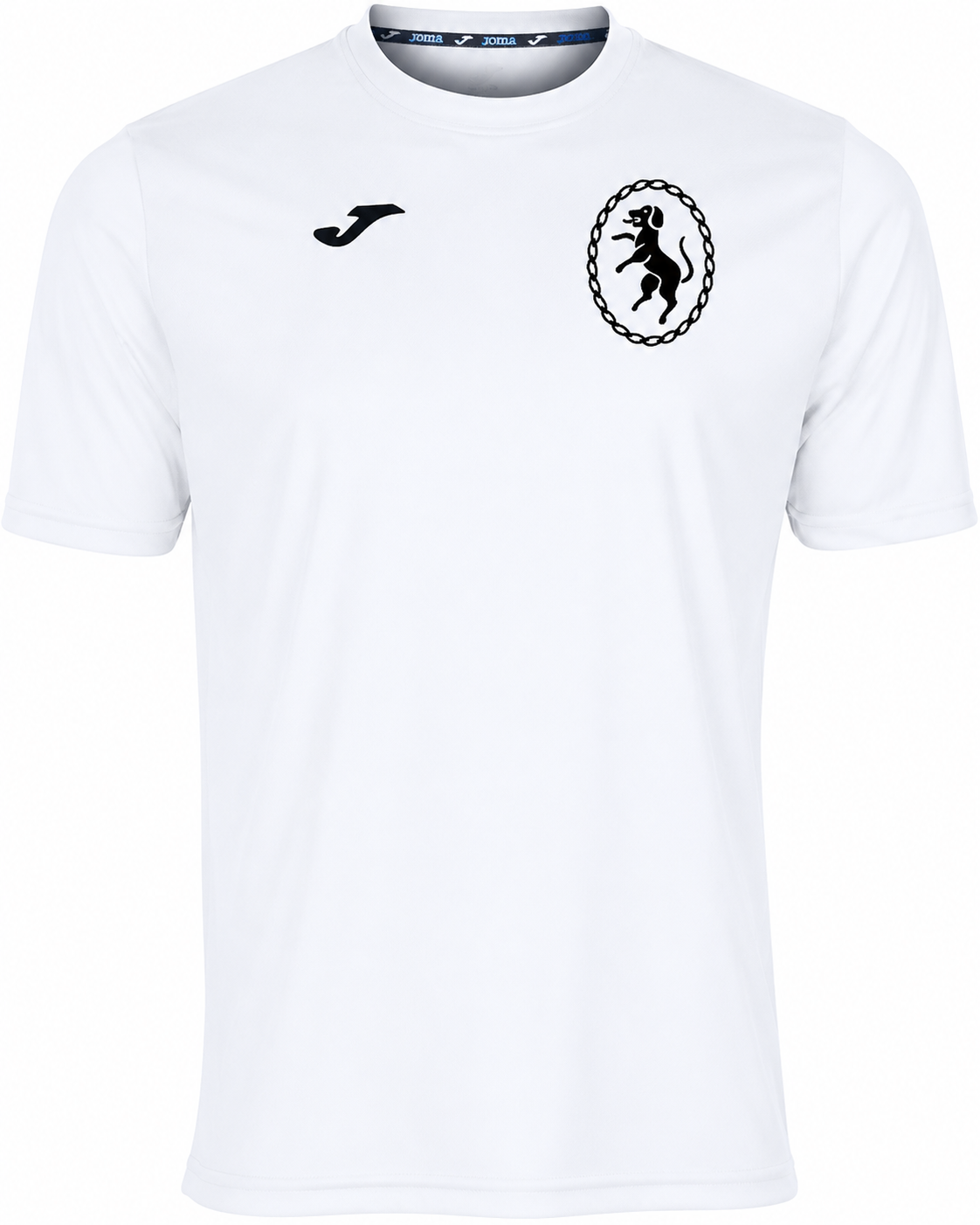 Hall Mead GCSE PE Tshirt