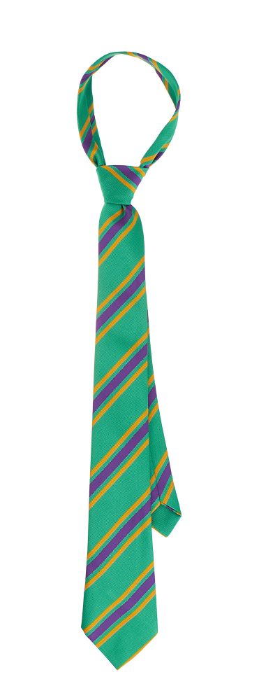 Hall Mead Tie (Year 7 - 10)